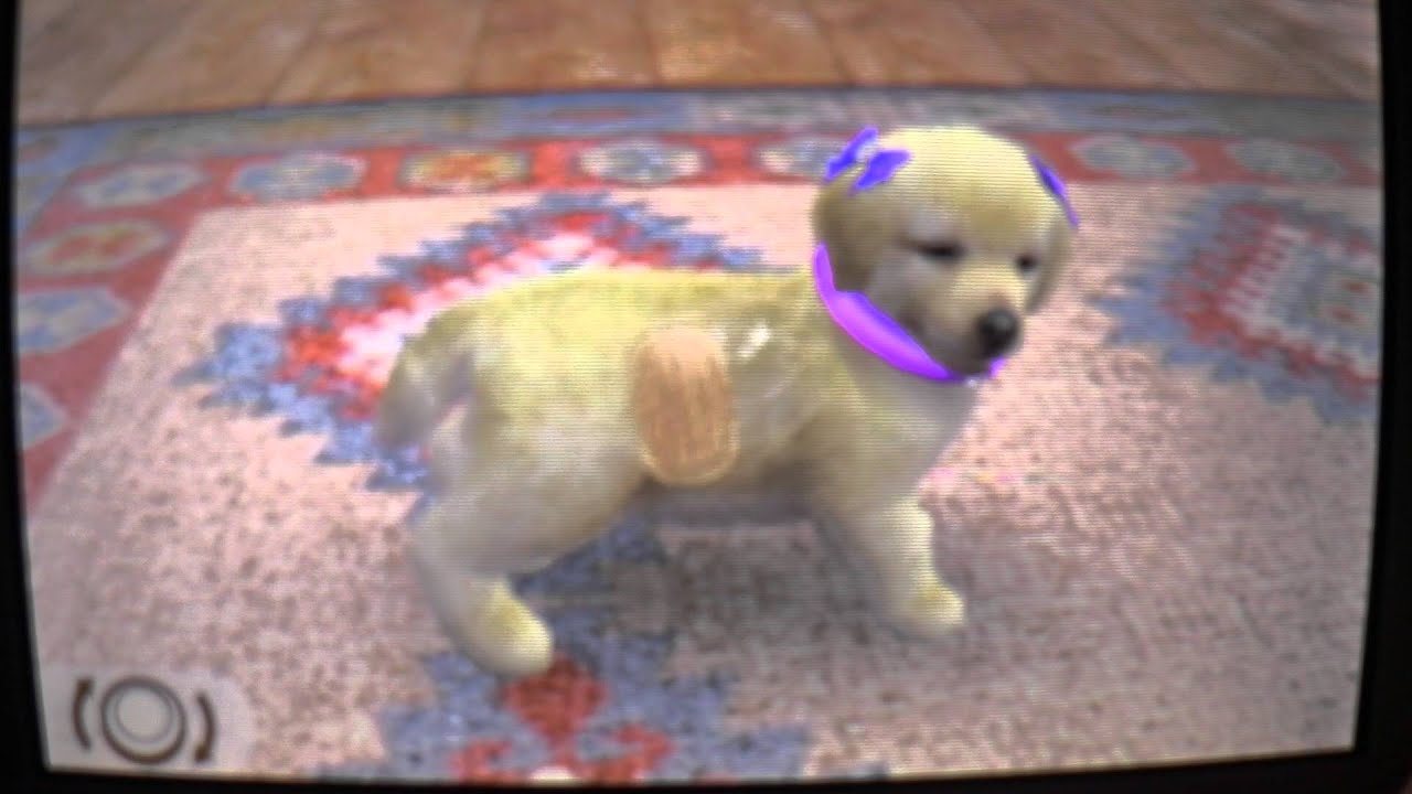 {Nintendogs +Cats} Trucs et Astuces ♡ - YouTube