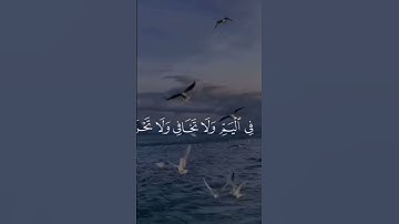 سورة القصص الشيخ #ارح_قلبك #قران_كريم #قرآن  عبدالباسط عبدالصمد
