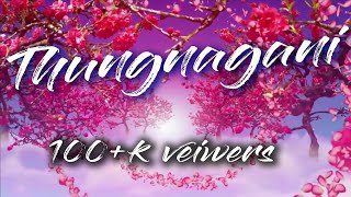 Video thumbnail of "Thungnagani Lyrics ( Singer : Amarjit)"