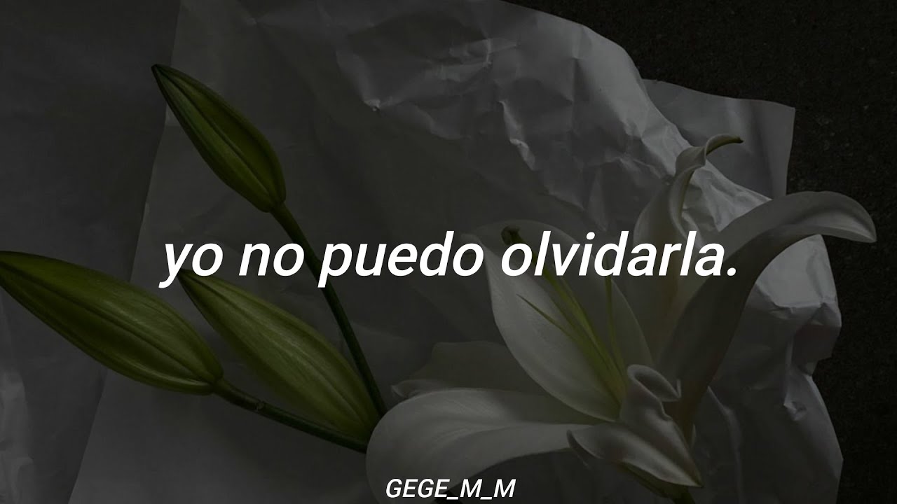 Ella... Ella ya me olvidó, yo la recuerdo ahora | Leonardo Favio | Letra