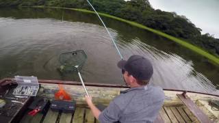 Crazy Pike Strikes
