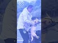 nag mala anghel ang lalaking ito sa isang asong hindi makatayo #dog #doglife #shorts