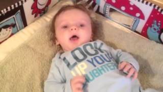 James Talking Dolphin