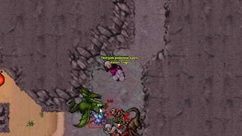 Tibia-Dragon Hunt!