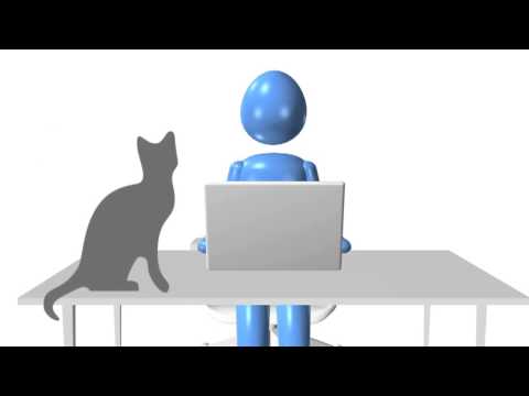 Prodeceo video