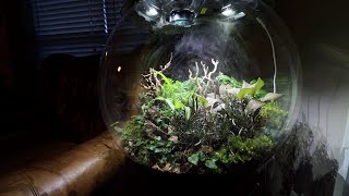 BiOrb Air 60 : Setup and Thoughts
Setting up the most advanced terrarium on the market. Lots of neat tricks from this beautiful display.
For more info look here!
https://www.biorb.com/terrarium/air-60/
If you would like to join me on Patreon you can do it here:
https://www.patreon.com/user/pecktec
One Time PayPal Donations here:
https://www.paypal.com/paypalme2/pecktec
Pecktec shirts? Why yes its a fun way to help out and a cool shirt.
https://teespring.com/more-official-pecktec-shirts#pid=369&cid=6527&sid=front
Find me online here:
Facebook: https://www.facebook.com/pages/Pecktec-on-YouTube/1471979596397532?ref=hl
Twitter: @Pecktec101
instagram: https://www.instagram.com/pecktec/
Bumper music by Jayme Gutierrez https://www.youtube.com/user/jaymegutierrez
Business inquiries and collaborations welcome. Write pecktec101@gmail.com with collaborate in the subject line. BiOrb Air 60 : Setup and Thoughts