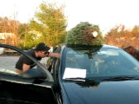 Kayak Roof Rack For Cars >> Tying a Xmas Tree on a Car that has no Roof Racks.AVI ... Kayak Roof Rack For Cars >> Tying a Xmas Tree on a Car that has no Roof Racks.AVI ...