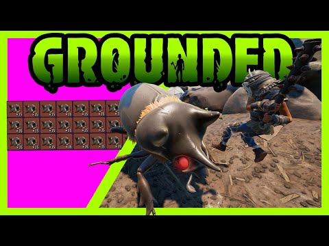 Capa de DO THIS NOW! It Might Get Nerfed! - Grounded - Super Duper Update (Update v1.2)