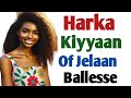 Harka Kiyyaan Of Jelaan Balleesse Harka Kiyyaan Of Jelaan Balleesse