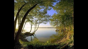 سورة مريم كاملة بصوت الشيخ محمد شمس الدين خولاني