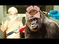 Qu'y a t il dans la tete de King Kong ? Pate à modeler Slime (Unboxing)