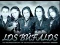 Los bufalos - Leodan