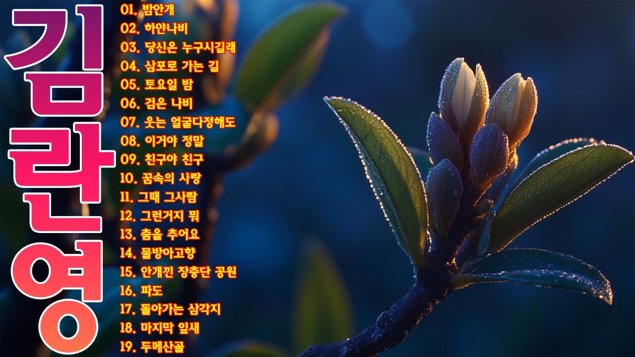在 YouTube 上观看 김란영 발라드 명곡모음 💖 밤안개, 하얀나비, 당신은 누구시길래...🍃김란영 카페음악