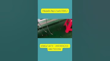 5 Ý Tưởng Trang Trí Hồ Bơi Đẹp Mắt (Đèn Âm Nước)