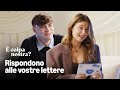GRAZIE Culpables | È colpa nostra?