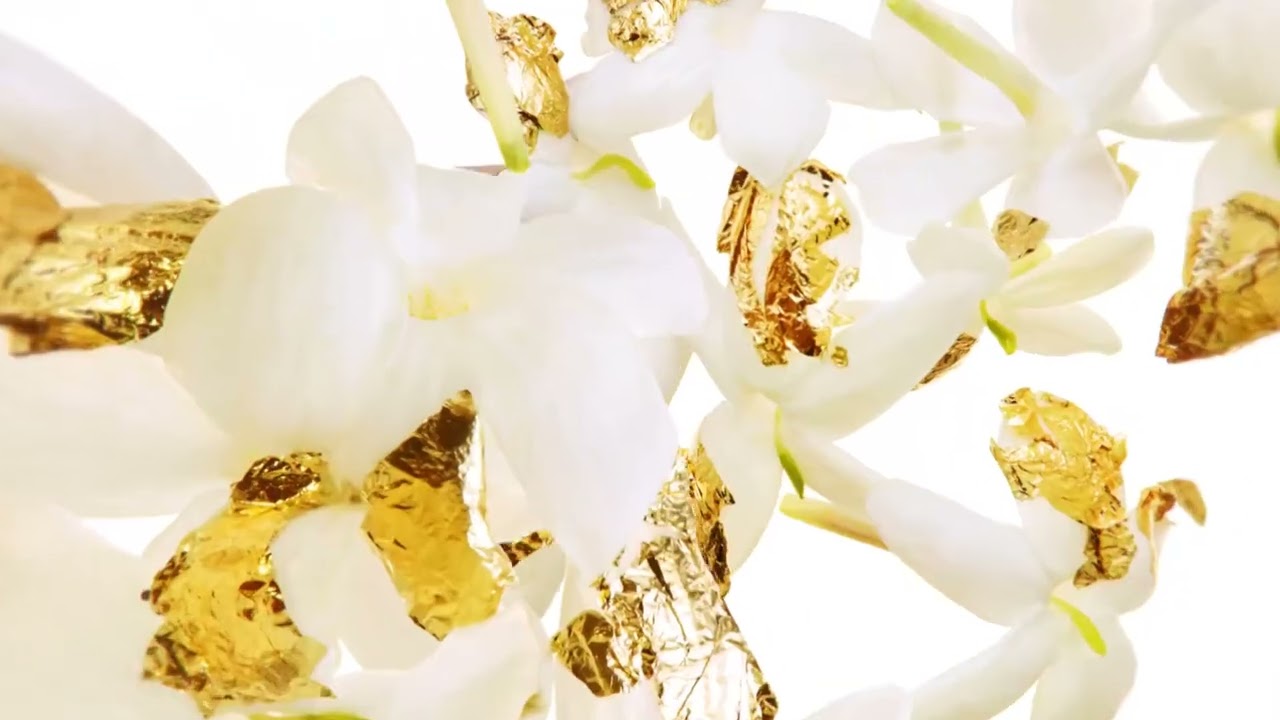 video Alien Goddess de Mugler Eau de Parfum