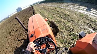 Let's Drive | Fiat 1000 Super + BiVomere Pietro Moro | Plowing