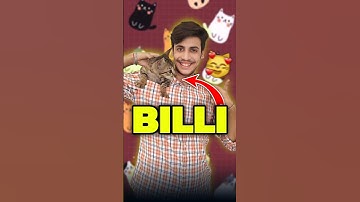 Billi Ka Baccha Aa Gaya 😨😨 | Mini Vlog #shorts #minivlog #ashortaday #vlog #tranding #cat