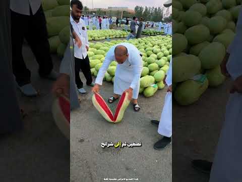 عرض البائع على الناس تذوق البطيخ