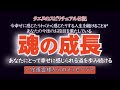 【タエヌ】あなたにとって幸せに感じられる道を歩み続ける/~守護霊様からのメッセージ~この地球上での残り僅かな三次元世界を経験されて、この過渡期で、あなたの魂に深く刻み込まれ、成長に大いに役立つのです