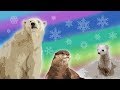 10 Arctic Animals for Kids – Snow Animals for Kids - YouTube