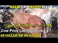 Malir Mandi 2020 45 Hazar se 80 Hazar Price  Range | Maweshi Mandi Karachi Latest Rates Update