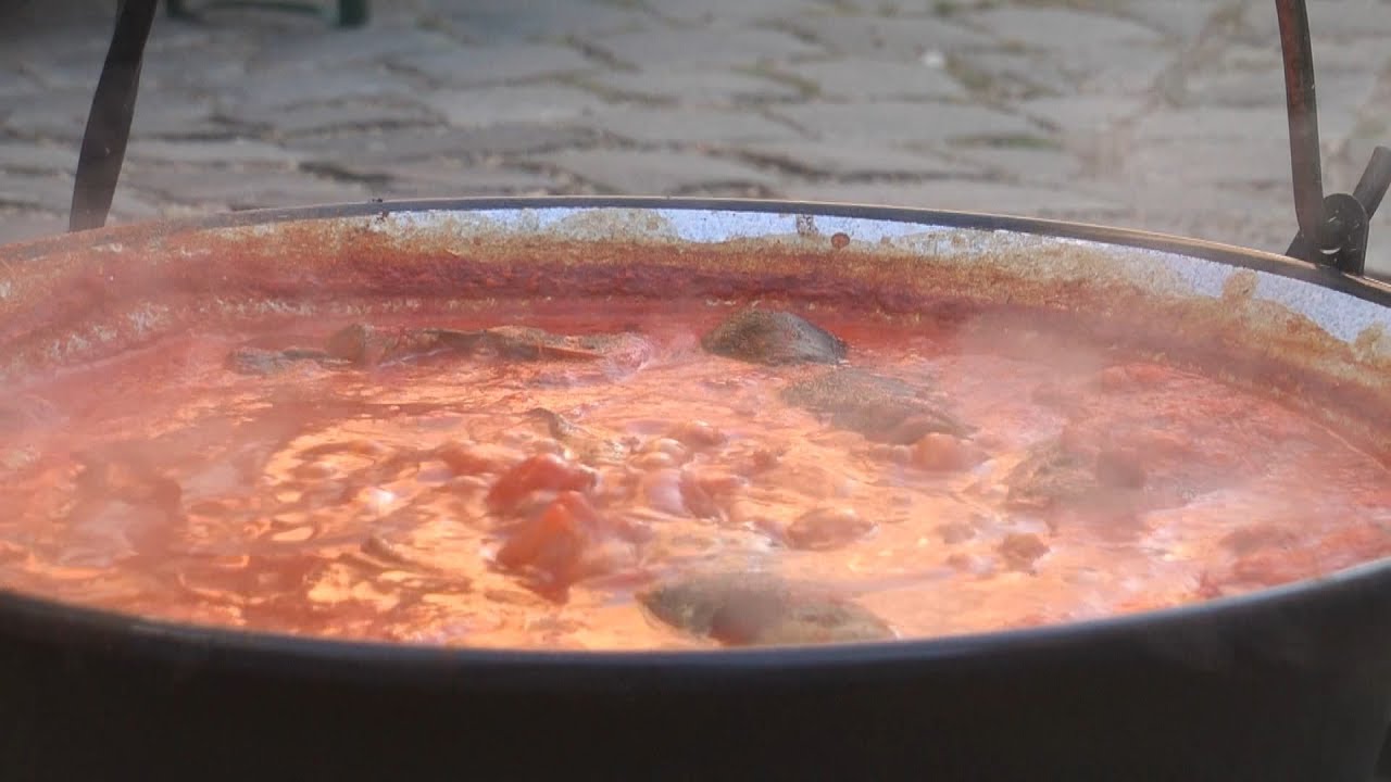 XXIV. Bajai Halfőző Fesztivál összefoglaló