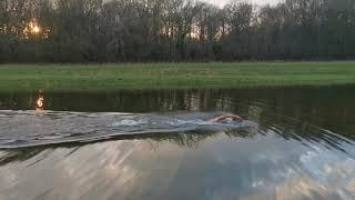 HOW TO SWIM BETTER IN A LAKE