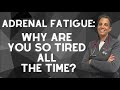 Adrenal fatigue why are you so tired all the time