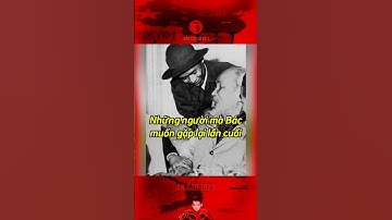 NHỮNG NGƯỜI MÀ BÁC HỒ MUỐN GẶP LẠI LẦN CUỐI… #bảocóc #bacho #bảocócvlog #baococvlogboss #shorts #xh