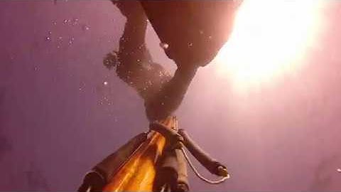 yaniv or spearfishing with b daniel polispast 3 kg grouper  long distance 24 4 18   YouTube