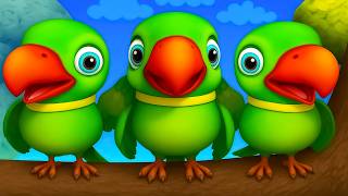 I Am a Green Parrot | I Am a Parrot, I Am a Parrot | Mitthu Mitthu | Hindi Rhymes For Kids #maintota