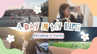 A day in the life DTM student at Seoul National University / South Korea
