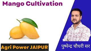 Mango Cultivation || Horticulture classes , Agri Power 8824081104 screenshot 5