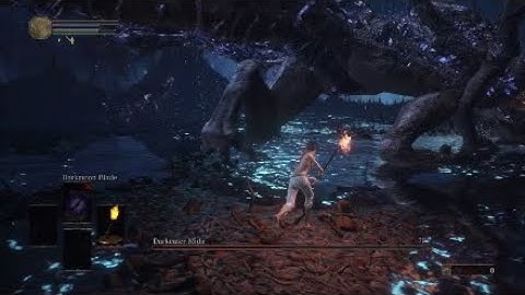 SL1 NG+7 Follower Torch No Rolling/parrying/blocking darkeater midir