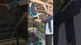 Babam Hortumla Su İçi̇rdi̇ Şfet