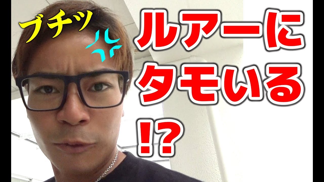 意外と知らない!?ルアーのタモ使い！？【釣りタモ】【フィッシング