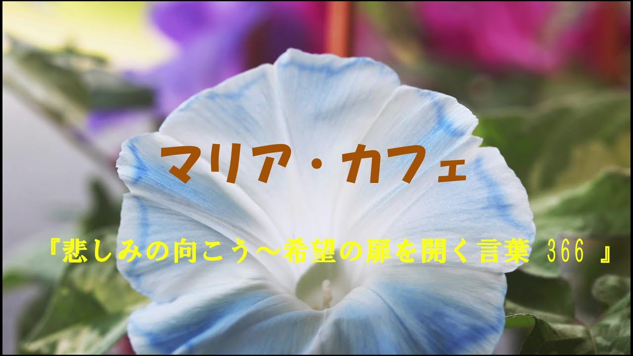 250712 マリア・カフェ「悲しみの向こう」