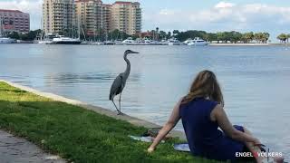 Sunken Gardens St. Petersburg, FL | Featuring unit at ONE condominium in Downtown St. Petersburg, FL Sunken Gardens St. Petersburg, FL | Featuring unit at ONE condominium in Downtown St. Petersburg, FL