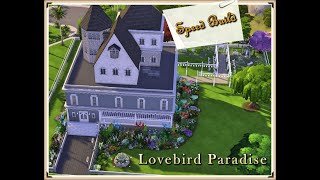 Lovebird Paradise:  Part I