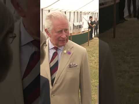 Video: Stavim, da niste vedeli, da je princ Charles eden najbolj uspešnih živih umetnikov v Veliki Britaniji