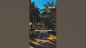﴿يَومَ تَرَى المُؤمِنينَ وَالمُؤمِناتِ﴾ || القارئ: مالك الزامل