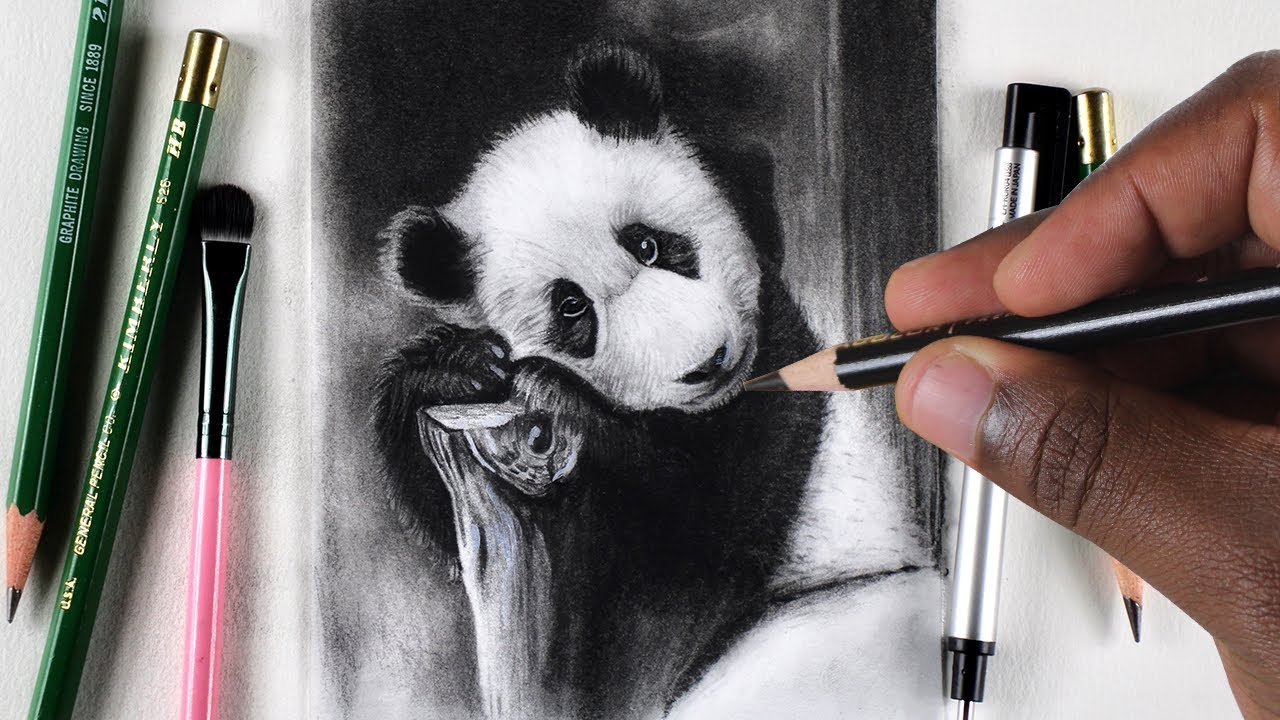 Draw A Realistic Panda Charcoal Pencils Youtube