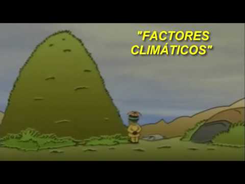 Video: ¿Cuál es el clima cerca del ecuador?