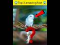 top😱 amazing🧐 facts | #facts #amazingfacts 💯 #ytshorts 🤔#trendingshorts ❤️