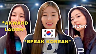 Babymonster vs korean language