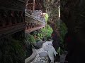 Bali 🛕🍃 #travel #pelomundo #viagem #turismo #indonesia