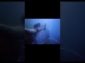 #mermaids #scientist #treasure #tenaatv #shorts
