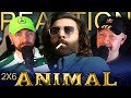 Animal movie reaction  part 2