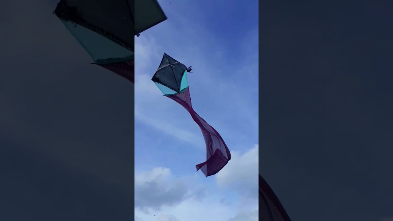 snake kite 🐍🐍🐍🔥🔥🔥